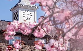 Last Drop Village Hotel & Spa